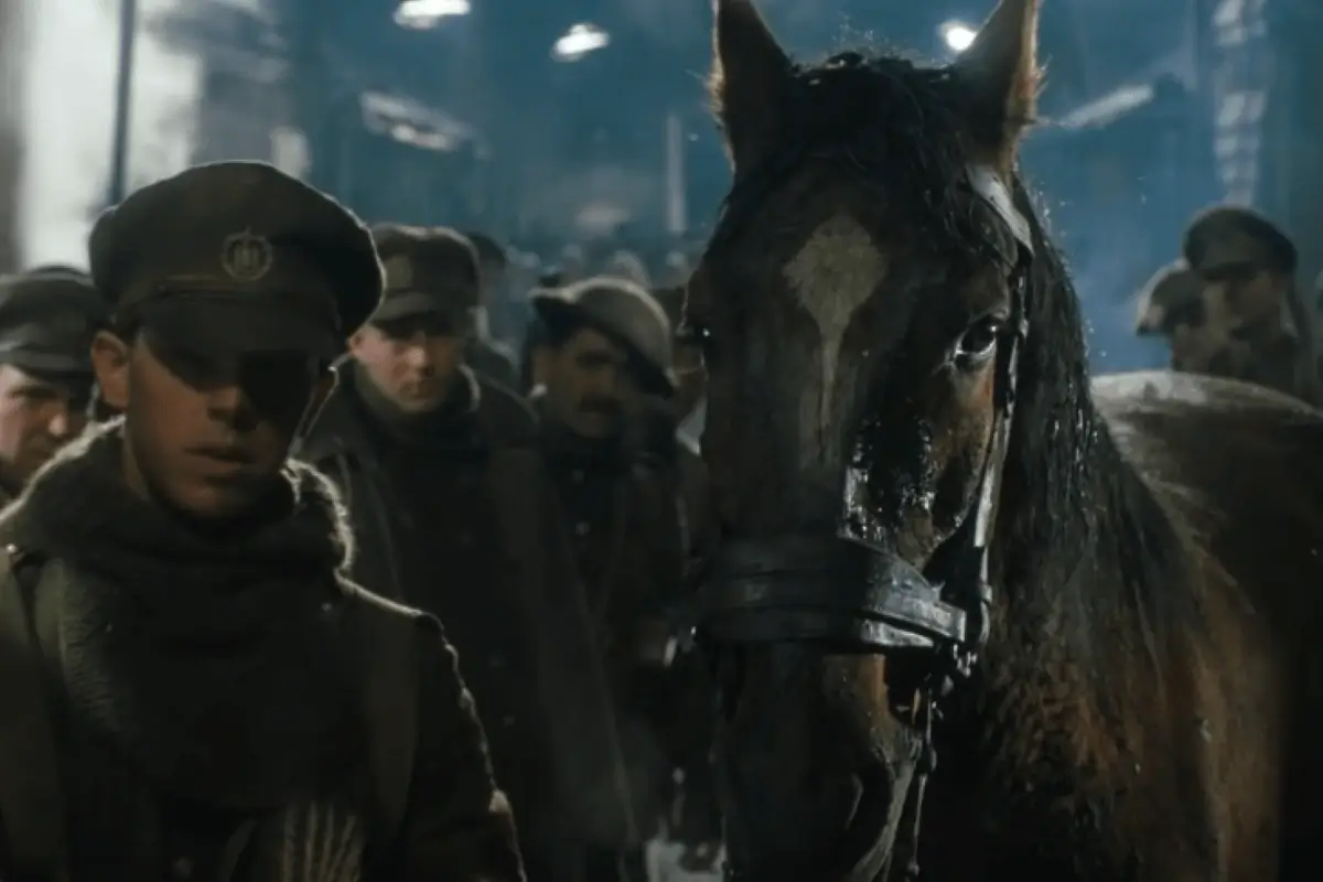 War Horse