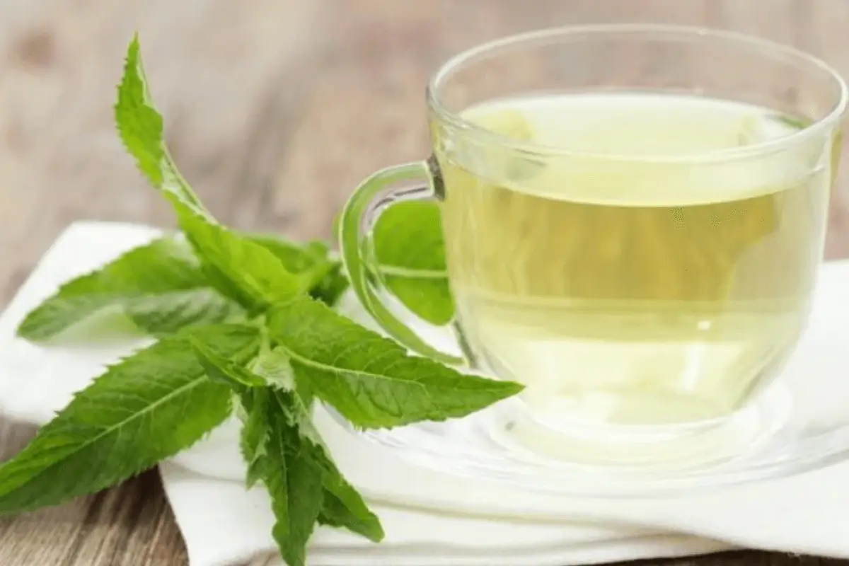 Mint drink is one of the best drinks for IBS