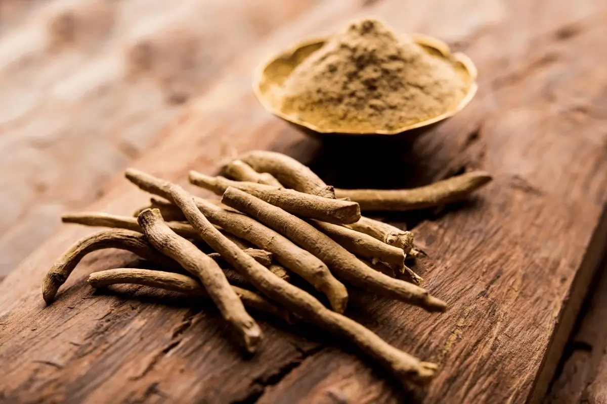 Ashwagandha is one of the best chinese herbs to increase platelet count