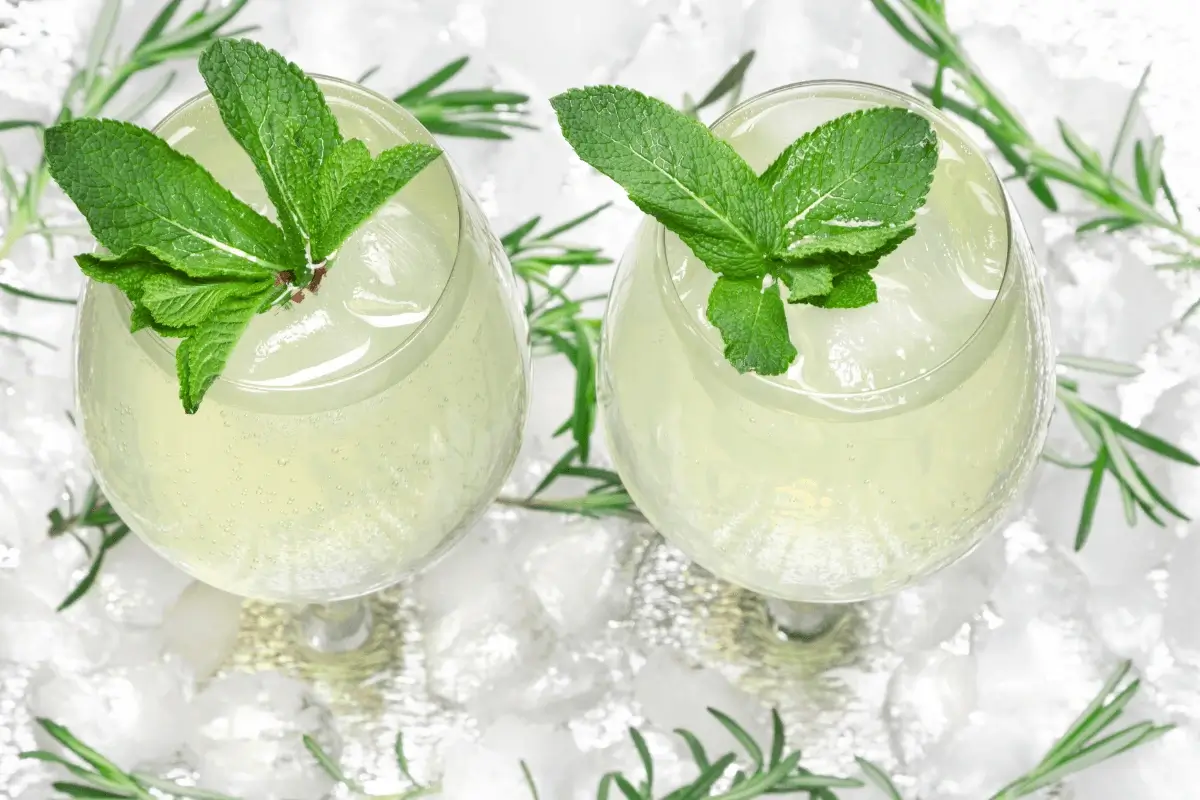 Mint drink is one of the top drinks for constipation