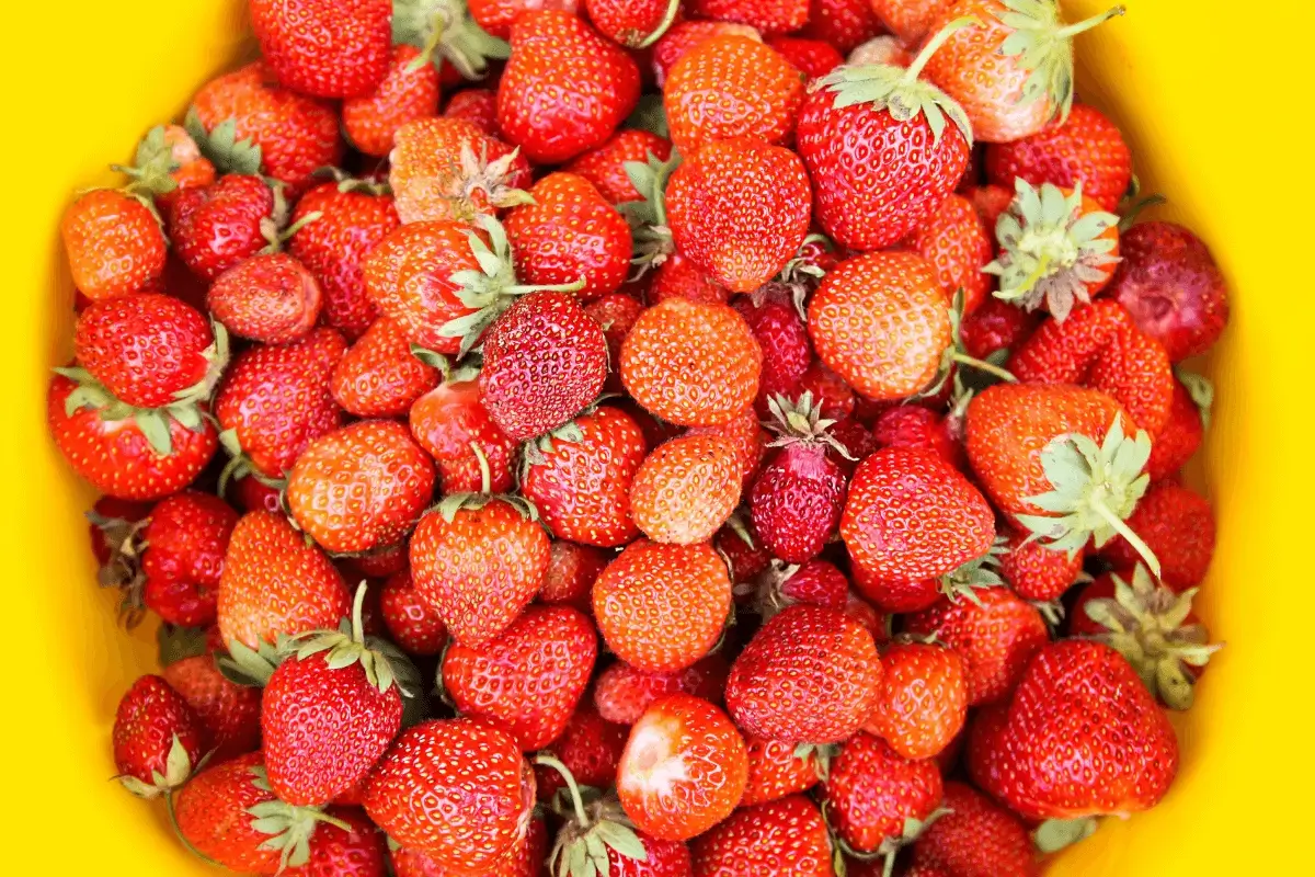 Strawberry is one of the top fruits good for immune system