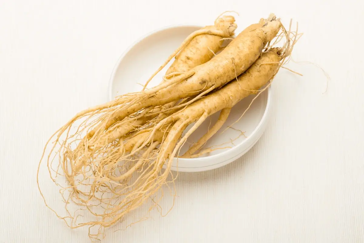 Ginseng is one of the best herbs for weight loss