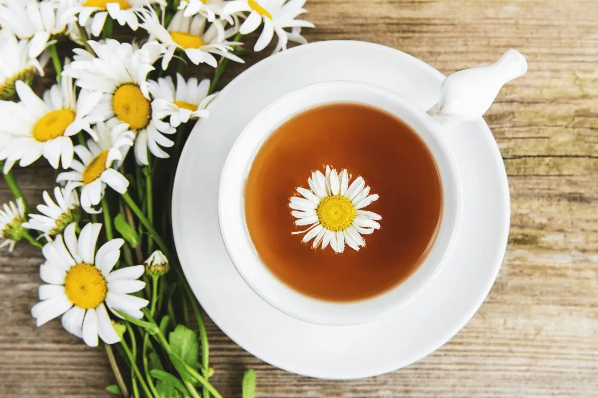 Chamomile drink is one of the best drinks for IBS