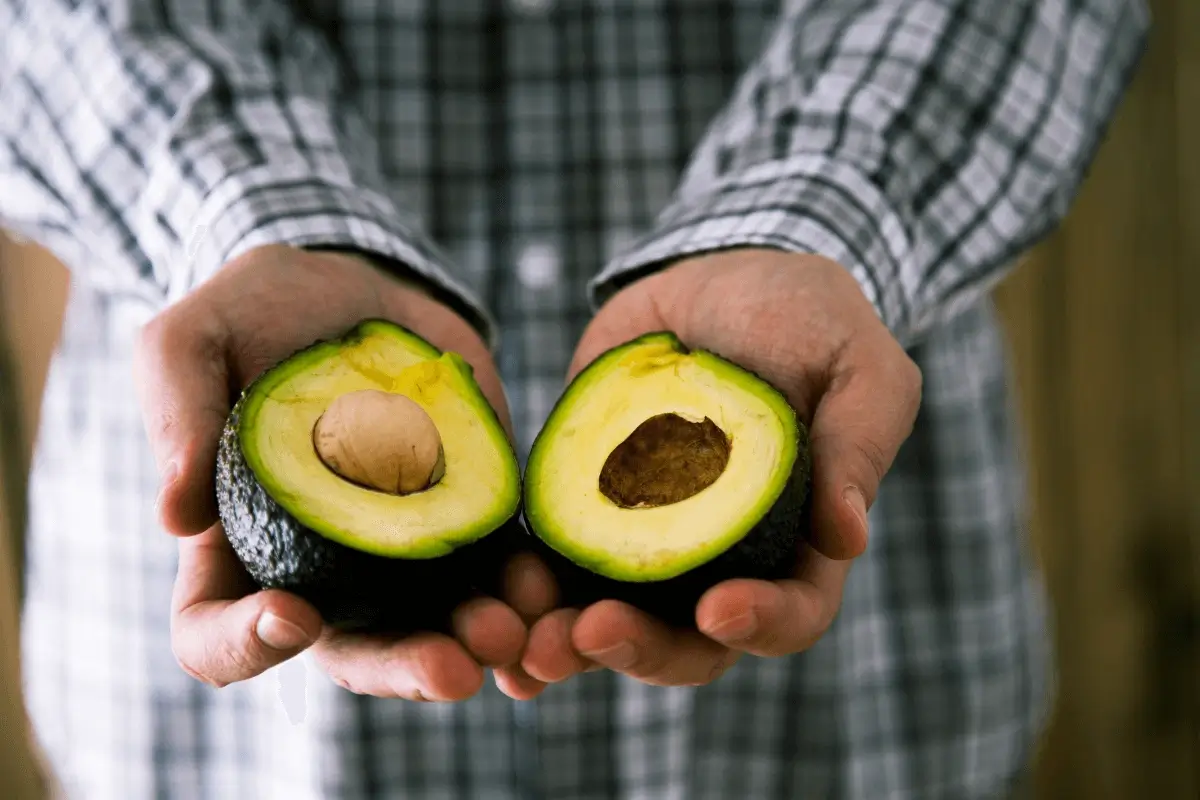 Avocado is one of the best fruits that increase immunity