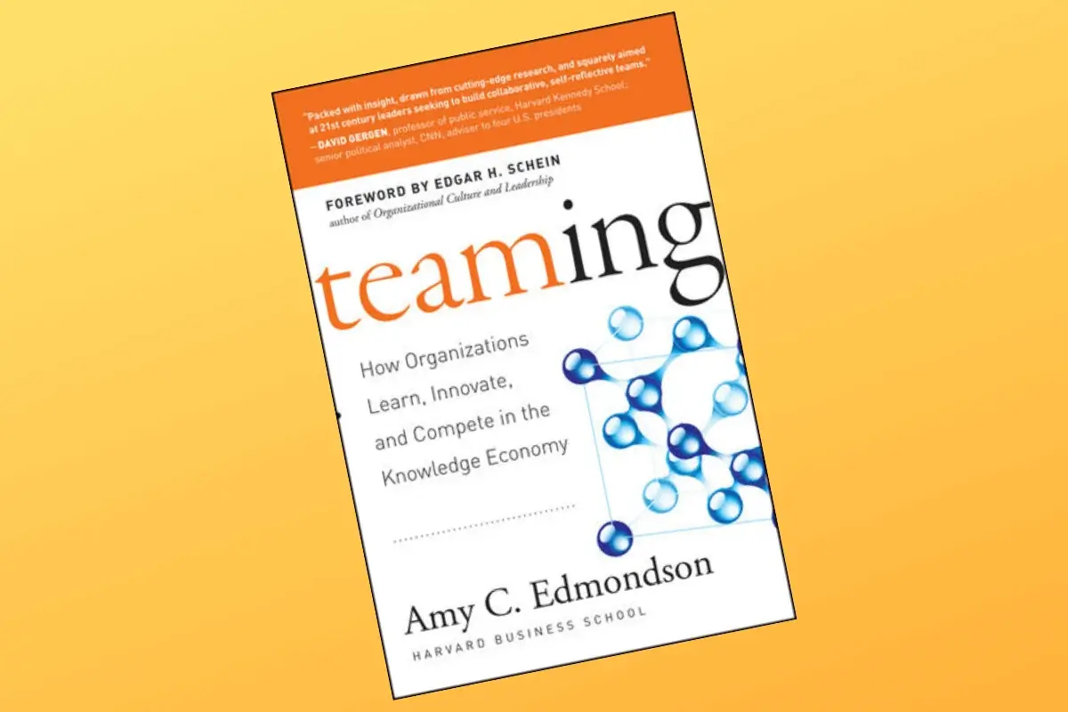 Teaming: How Organizations Learn, Innovate, and Compete in the Knowledge Economy