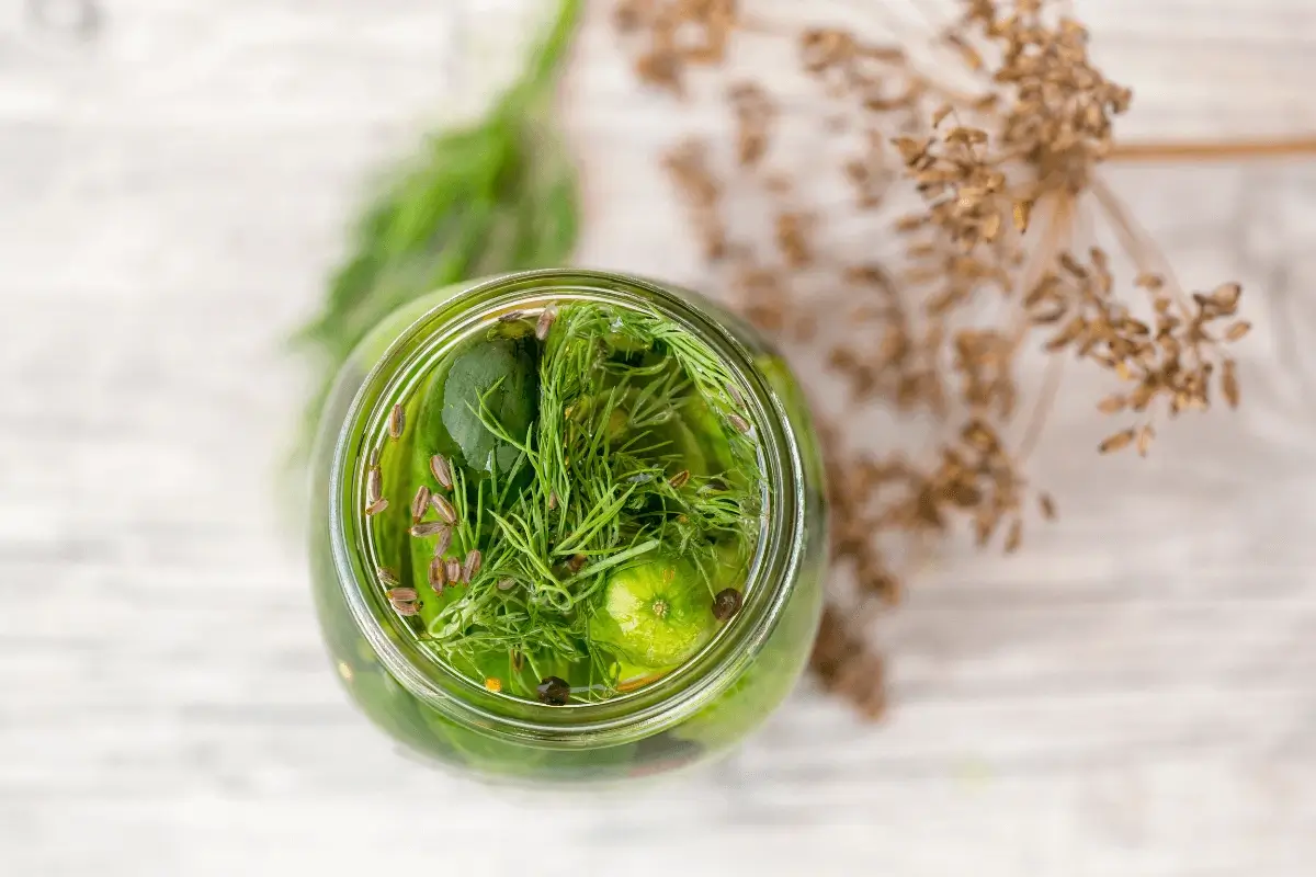 Fennel seed drink