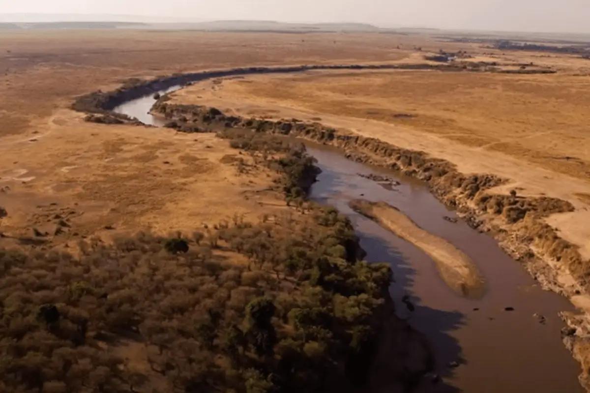 Maasai Mara is one of the best places to travel in Africa