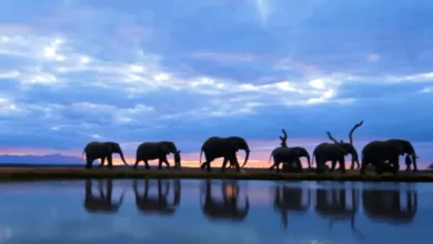 Top 10 Places To Visit In Africa