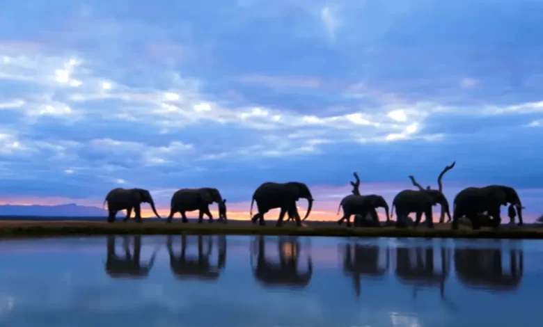 Top 10 Places To Visit In Africa