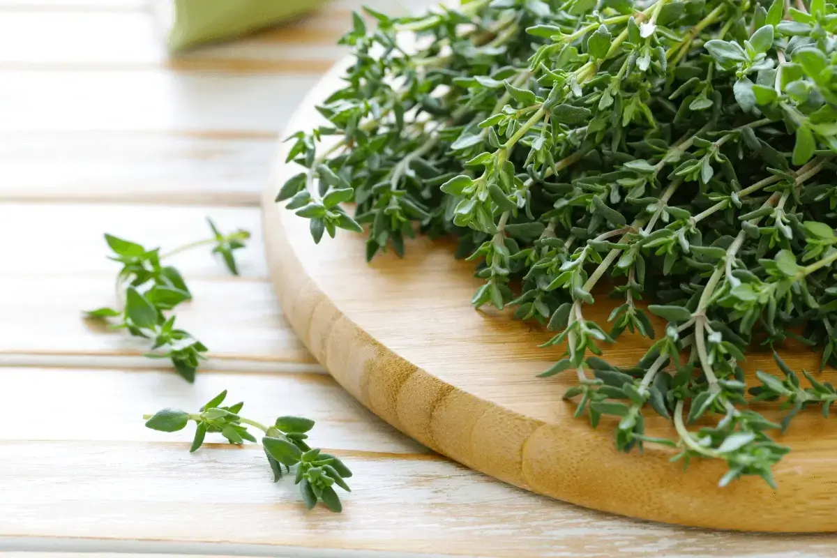 Thyme is one of the best herbs that kill cancer cells