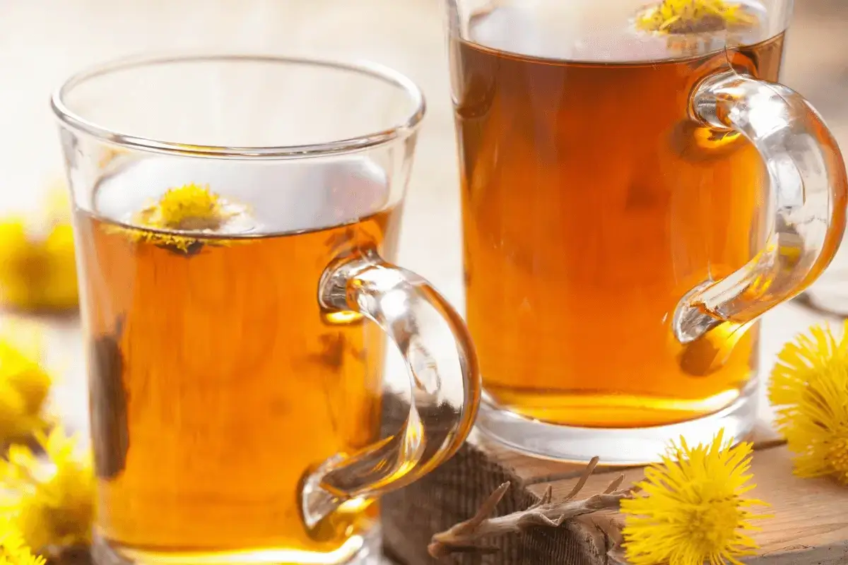 Coltsfoot drink is one of the best Detox drink for smokers lungs