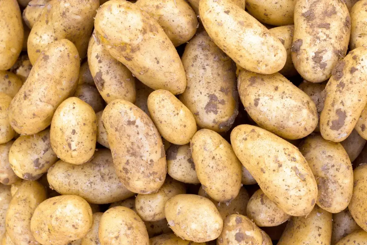 Potato is one of the top foods to kill the amoeba