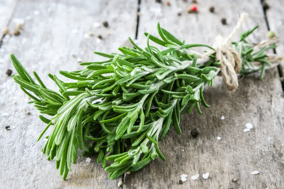 Rosemary is one of the top herbs for nervous stomach
