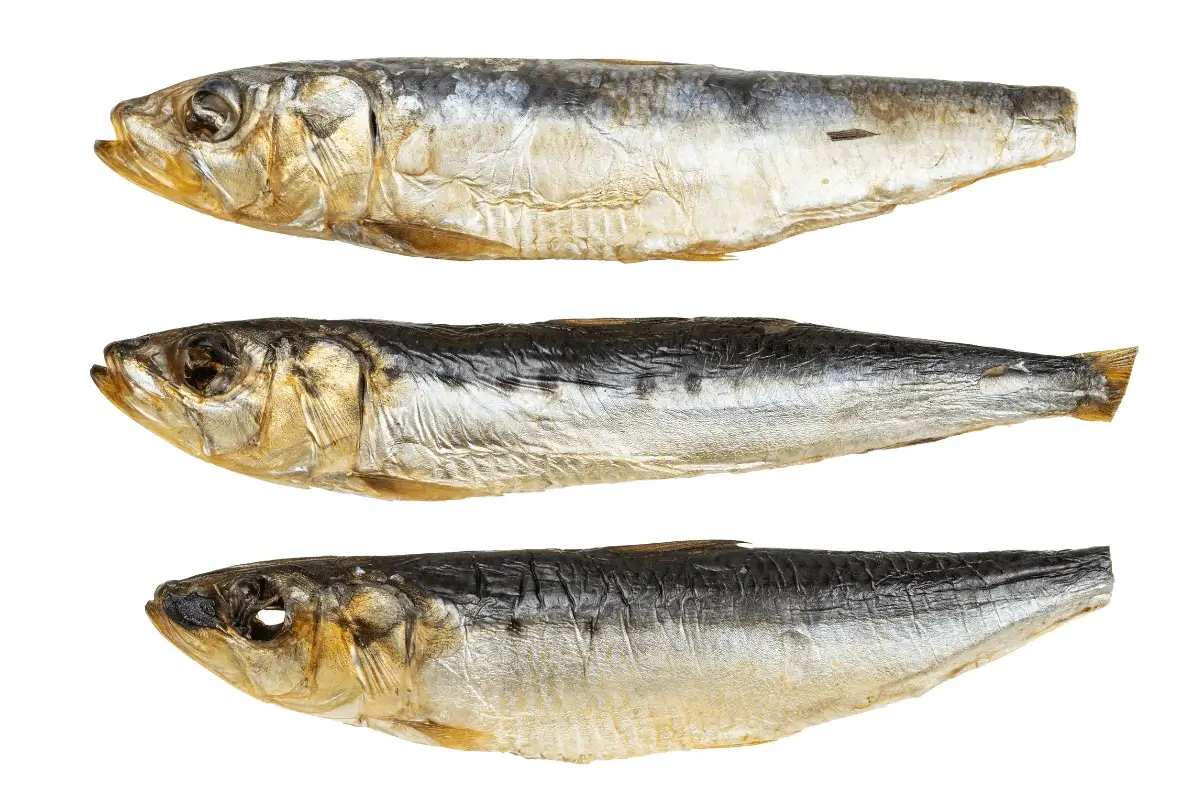 Sardines and herring are some of the best food sources of vitamin D