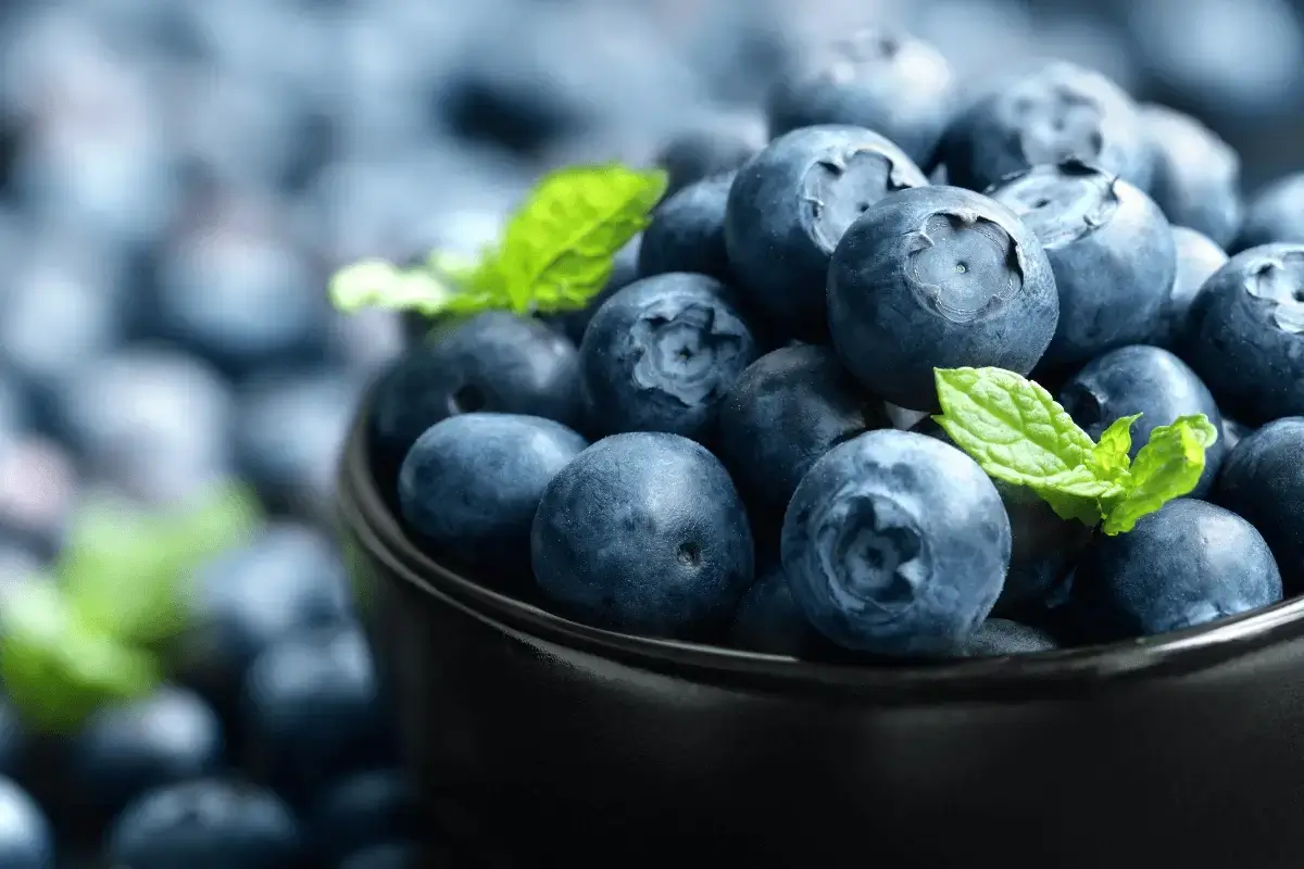 Blueberry is one of the diet for reducing a fatty liver