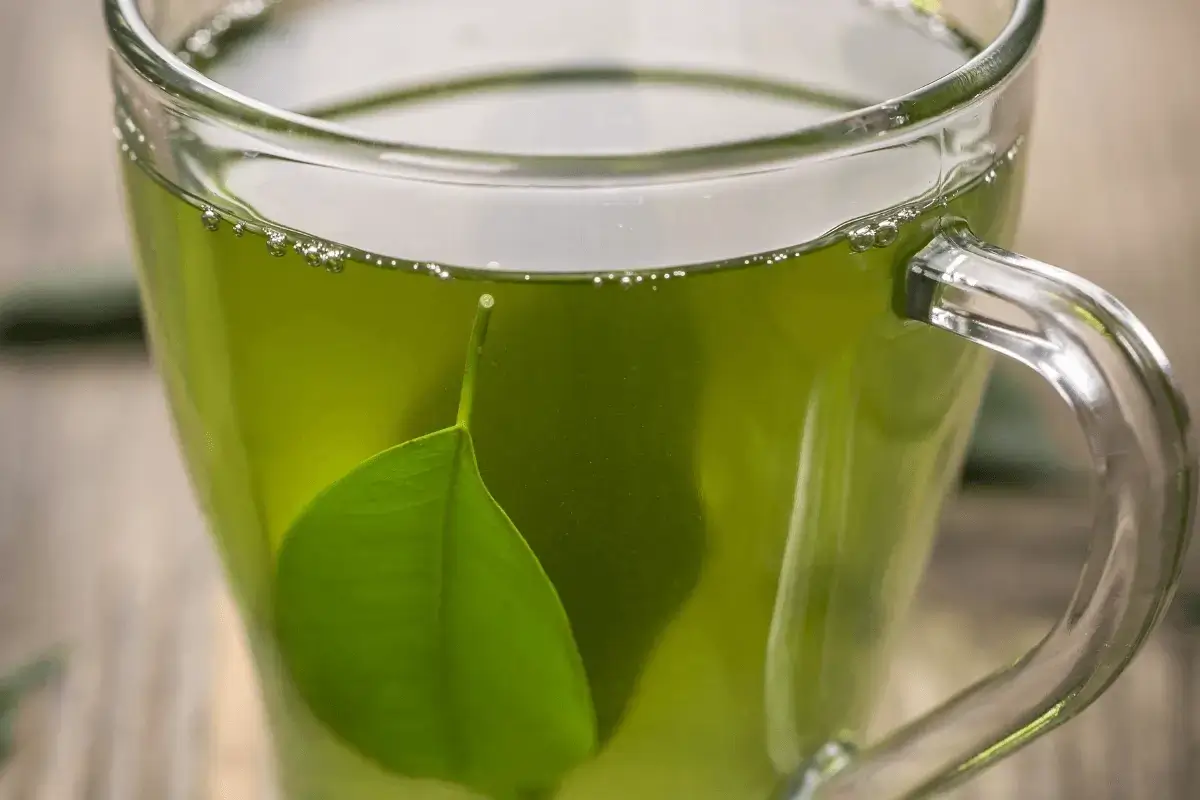 Green tea is one of the most herbs for skin allergie