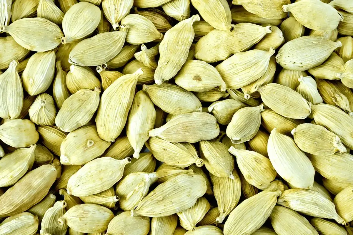 Cardamom is a herbal remedy for nervous stomach
