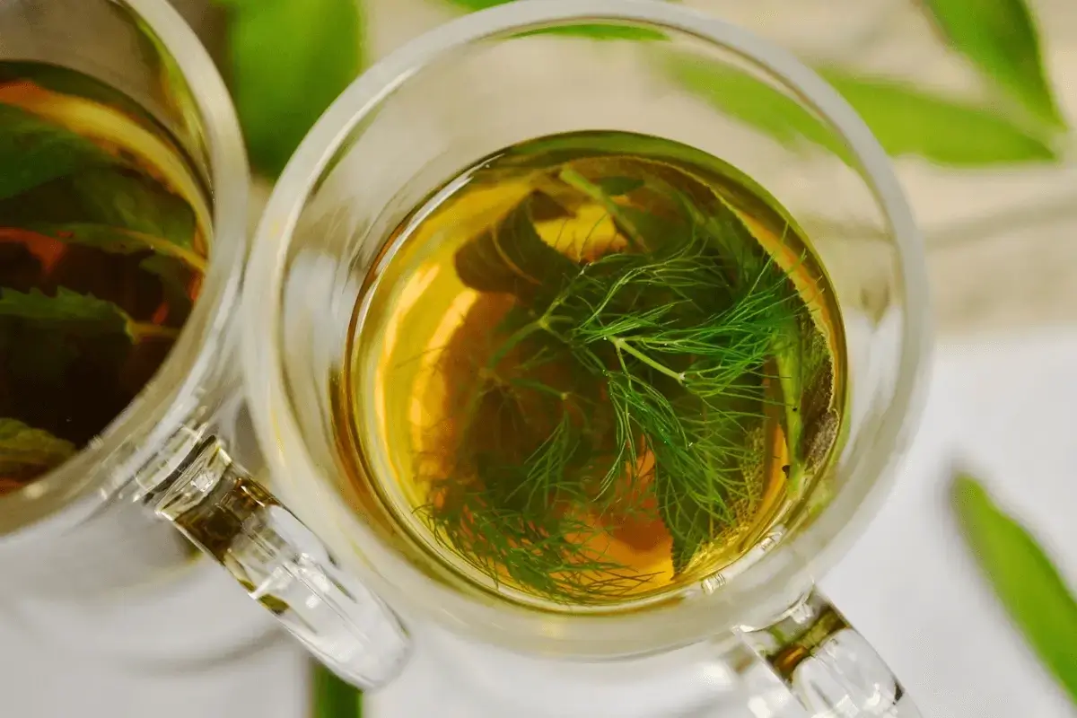 Fennel drink is one of the best bedtime drink to lose belly fat in a week