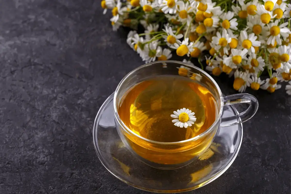 Chamomile tea is one of sleep aid drinks