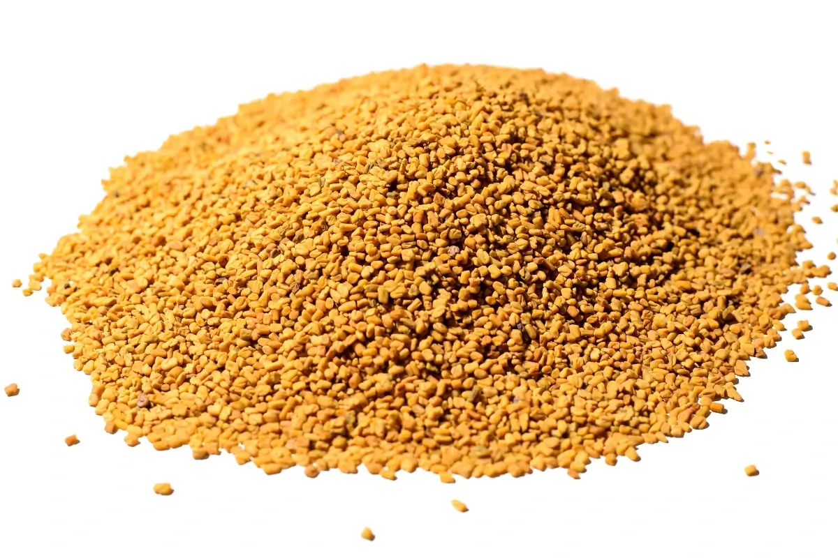 Fenugreek