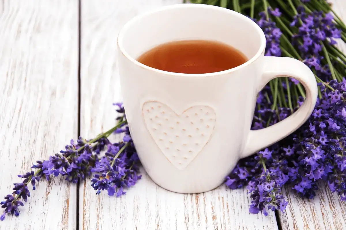 Lavender drink is helps for nerves