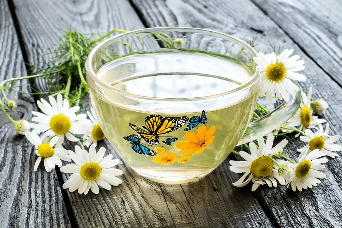 Chamomile drink