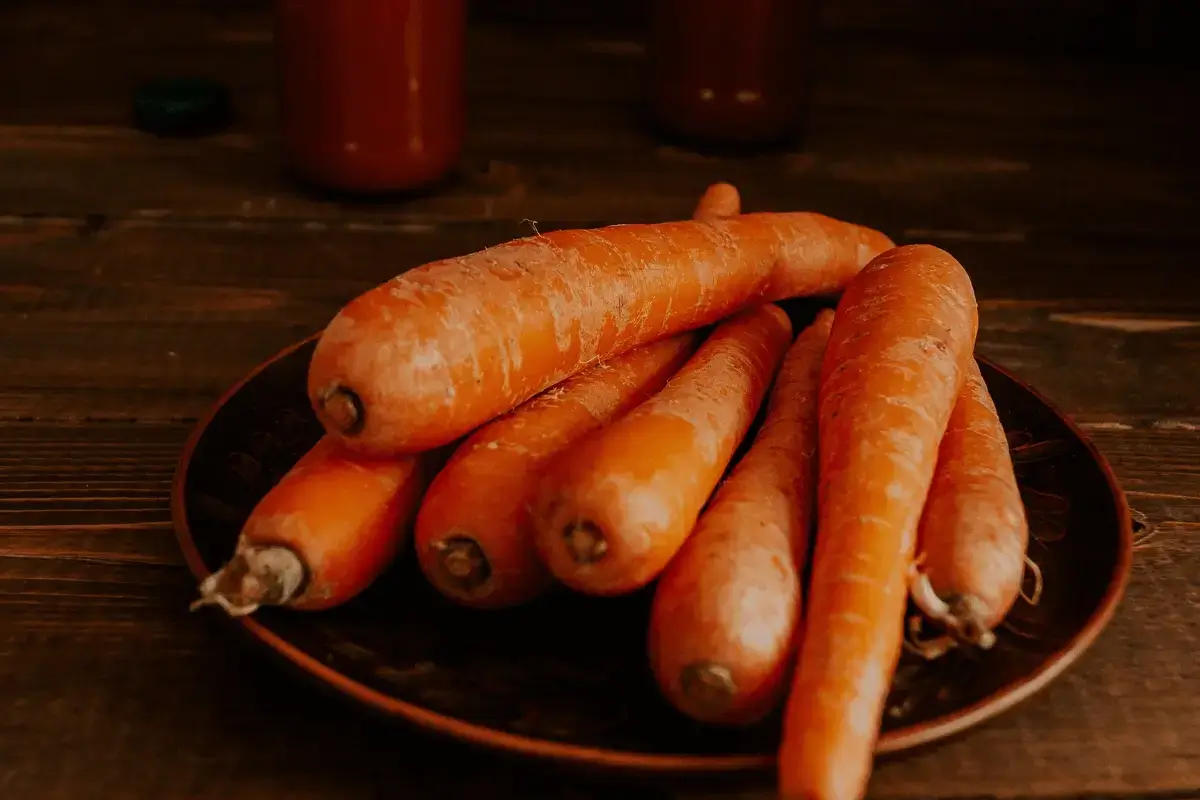 Carrot is good for amoeba