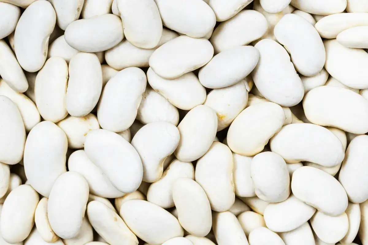 White Beans is one of the best foods rich in fiber