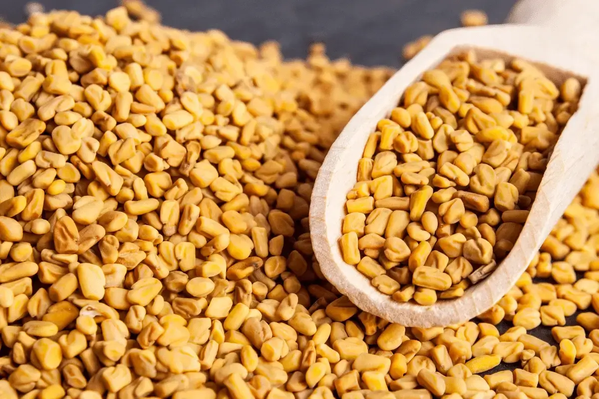 Fenugreek is one of the Strong laxative herbs