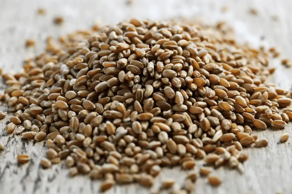 Whole grains is one of the best foods rich in zinc and iron