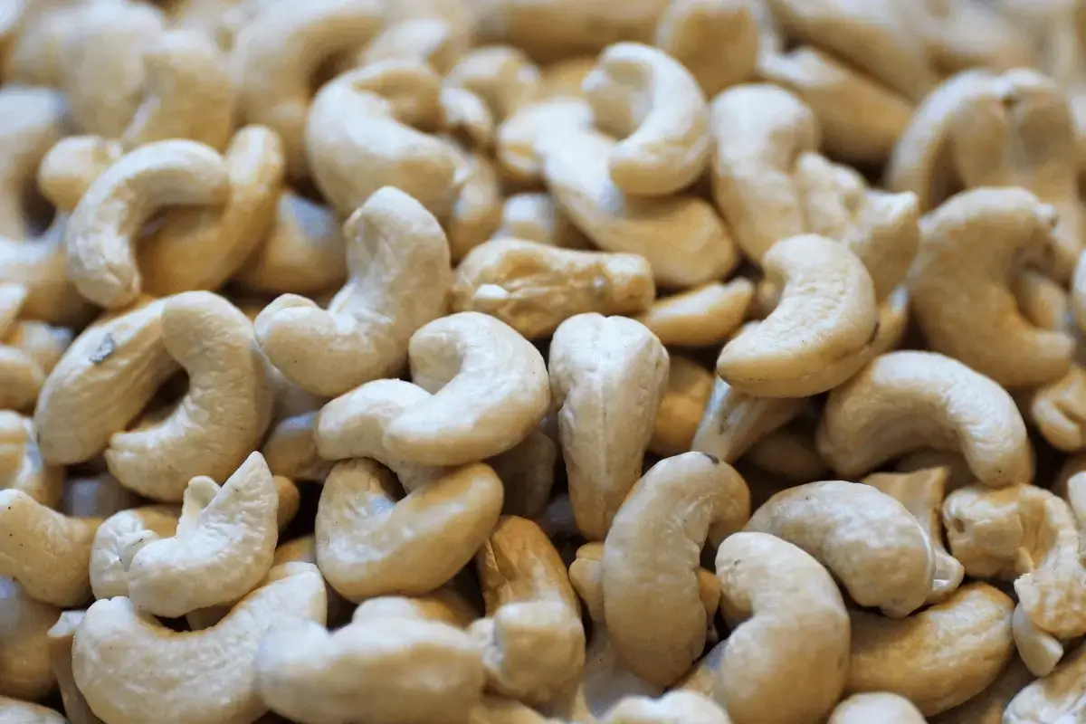 Cashew is one of the best foods for stomach ulcer