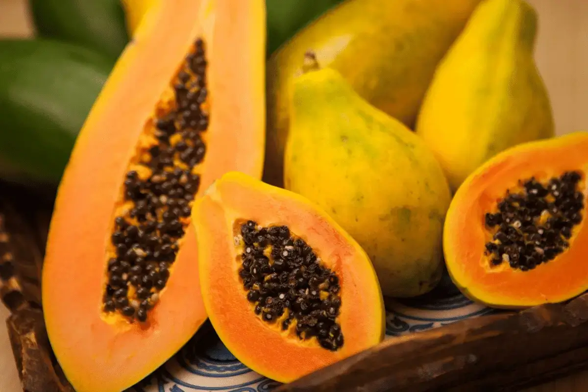 Papaya