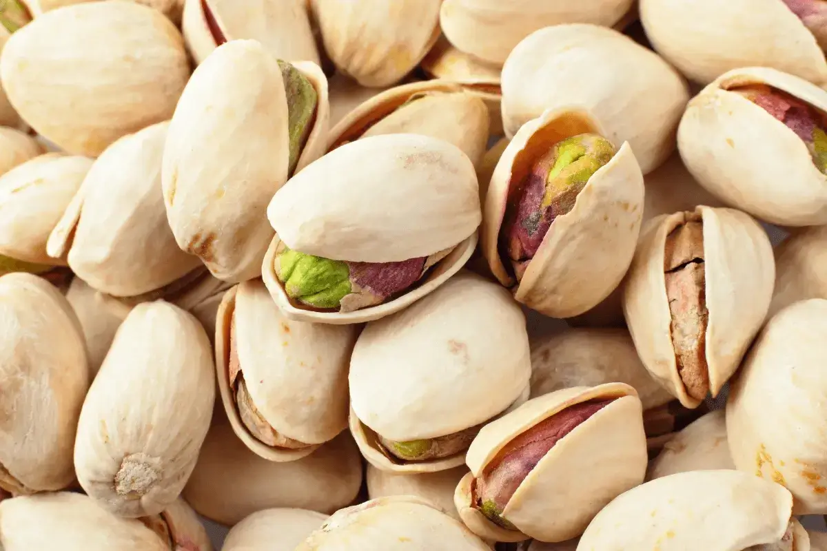Pistachio is one of the top foods rich in protein