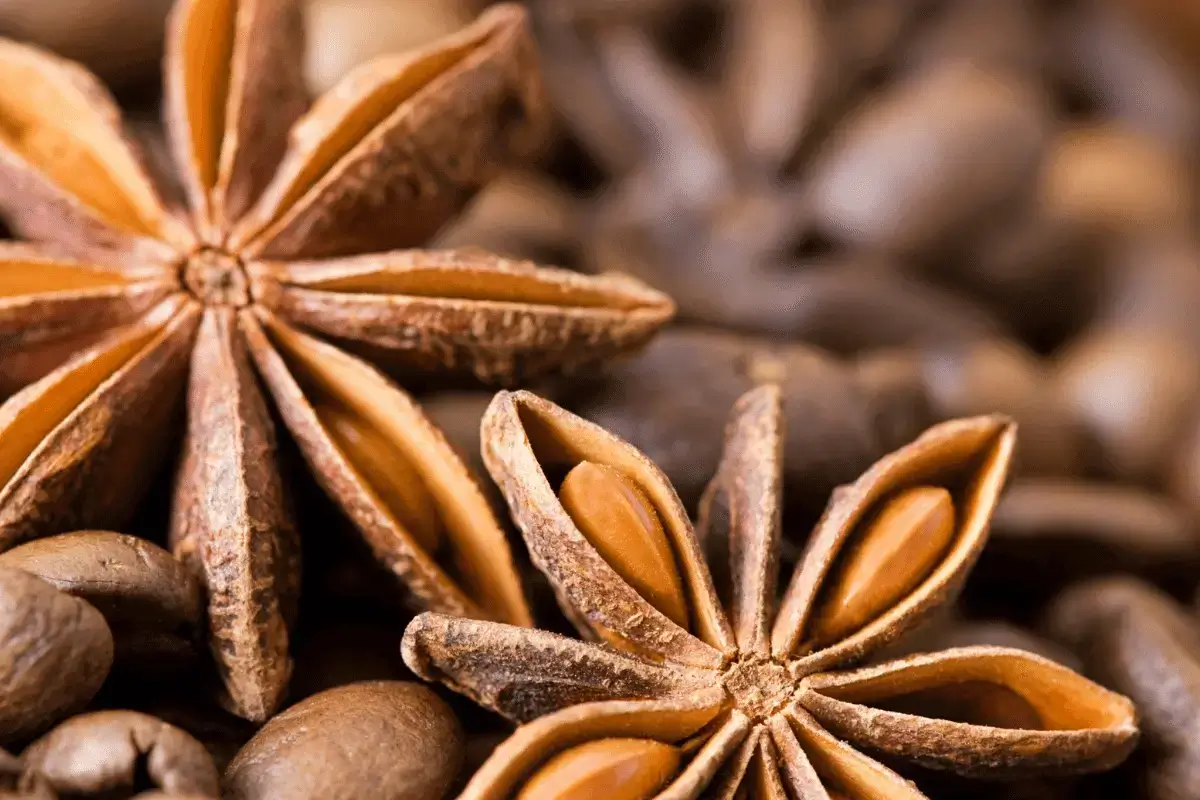Anise seeds is top foods for indigestion