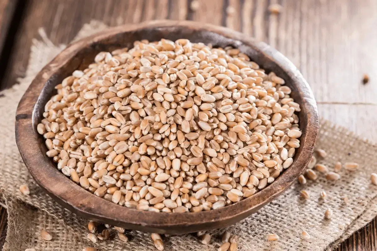 Wheat grain is one of the top foods rich in iron