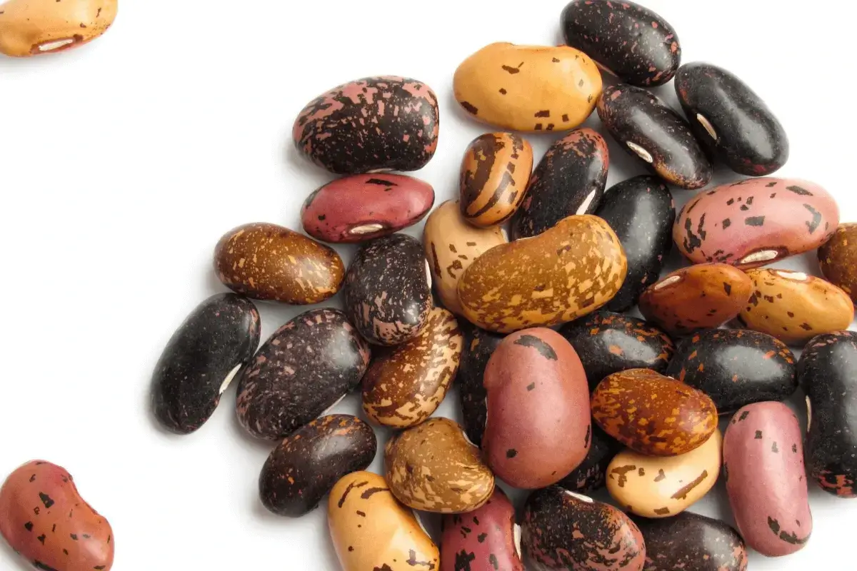 Legumes is one of the top foods for gout patients