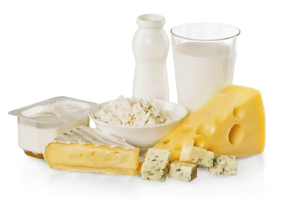 Cheese and dairy products are good for gain weight
