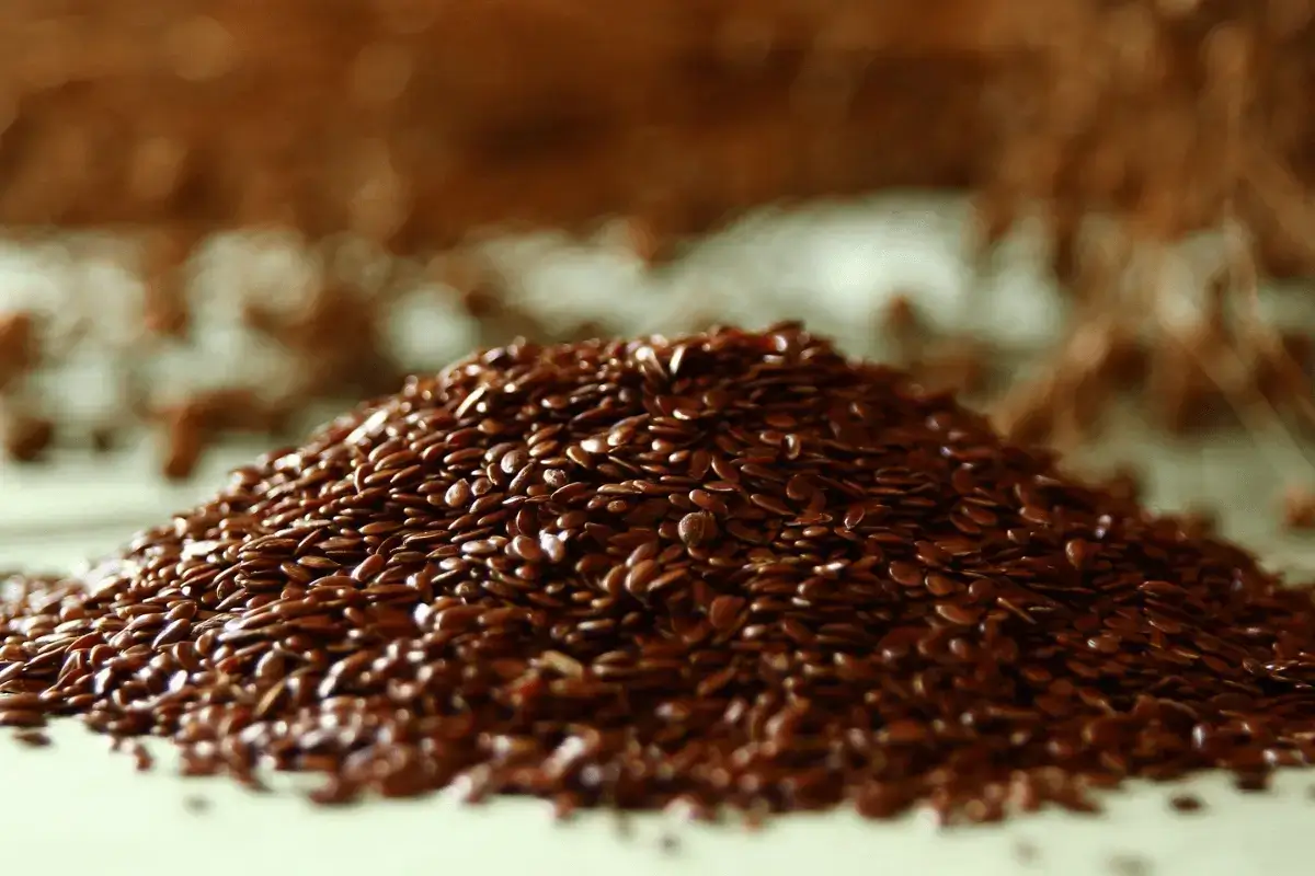 Eat flaxseeds is one of the top ways to lose weight