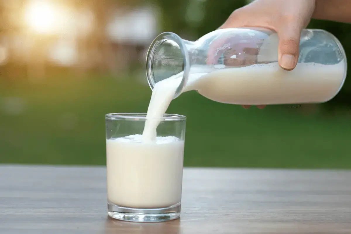Milk is highest protein foods