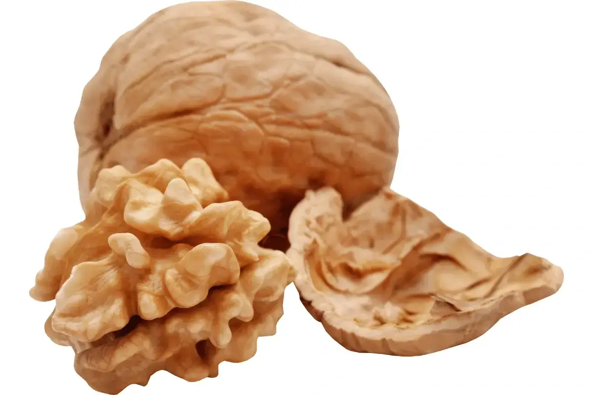 Walnuts are one of the Improve memory food