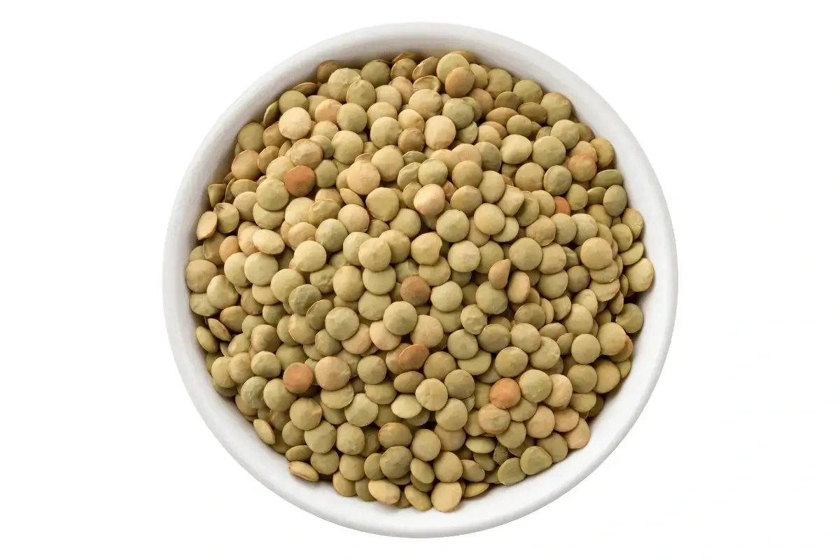 Lentil