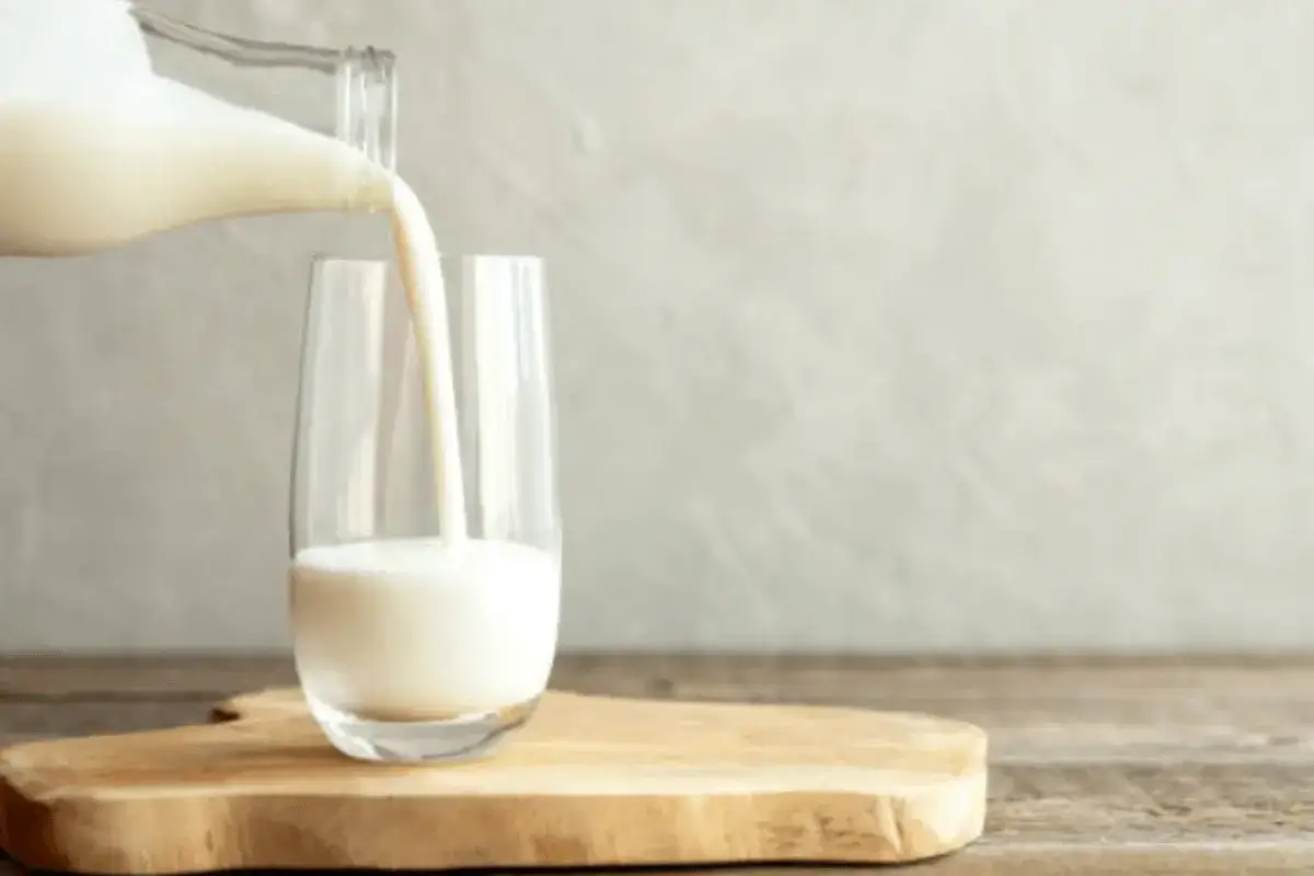 Low-fat dairy products is helps for gout patient