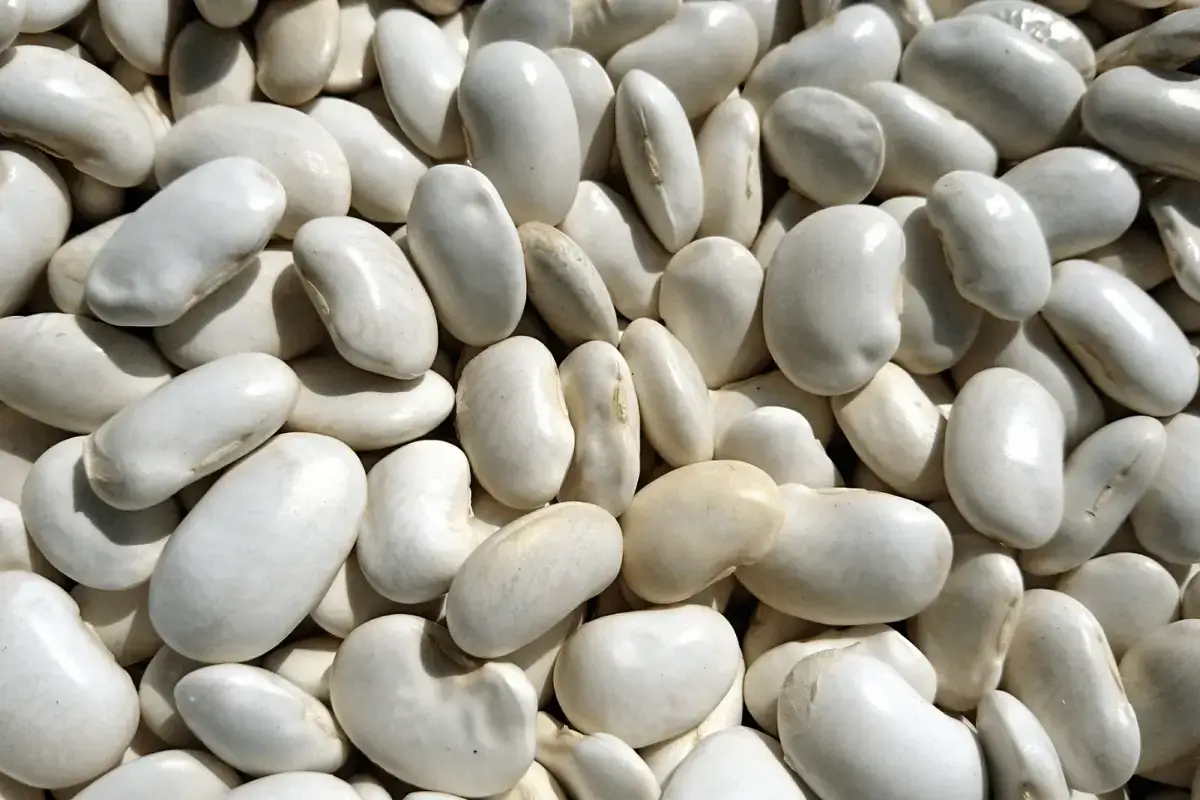 White Beans is one of the most foods that contain calcium