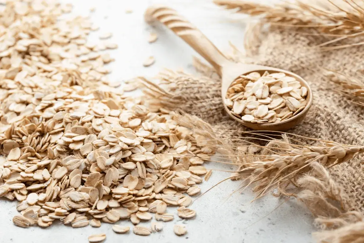 Oats is highest protein vegetables
