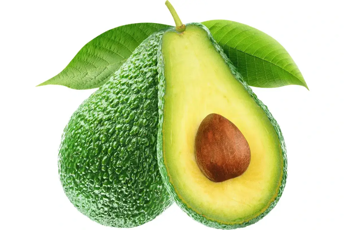 Avocado is helps for memory