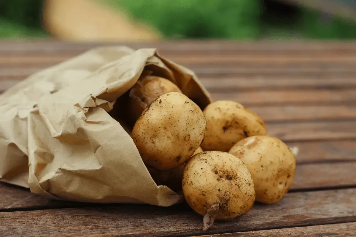Potatoes are one of the foods that help the gout patient