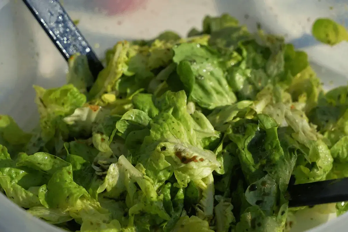 Eat green salad is weight loss diets