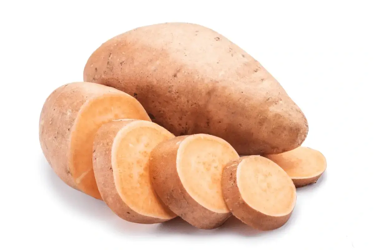 Sweet potato is one of the vegetables rich in carbohydrates