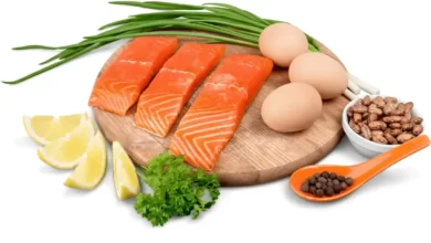 Top 10 Foods Rich In Protein