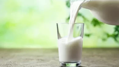 Top 10 Milk To Gain Weight